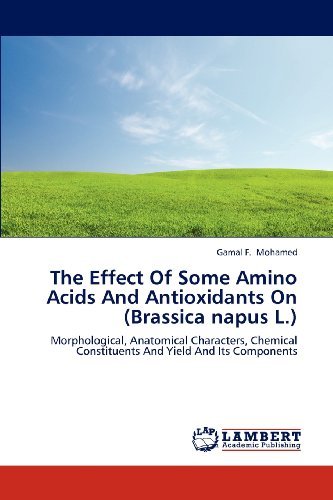 Cover for Gamal F. Mohamed · The Effect of Some Amino Acids and Antioxidants on (Brassica Napus L.): Morphological, Anatomical Characters, Chemical Constituents and Yield and Its Components (Paperback Bog) (2012)