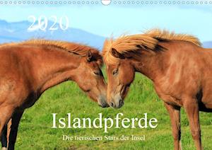 Cover for Grosskopf · Islandpferde - Die tierischen (Bok)