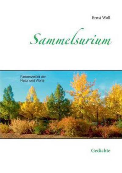 Cover for Woll · Sammelsurium (Buch) (2016)