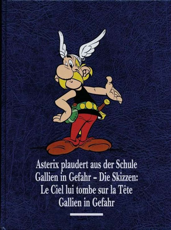 Cover for Goscinny · Asterix Gesamtausgabe.12 (Bok)