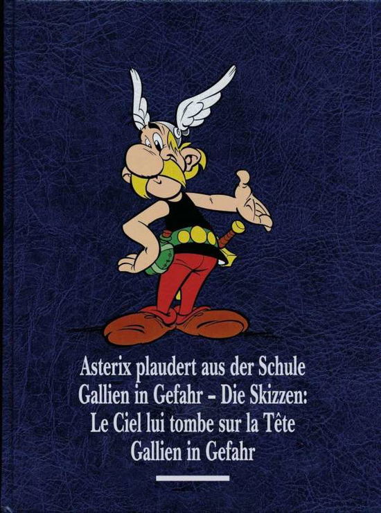 Asterix Gesamtausgabe.12 - Goscinny - Książki -  - 9783770438877 - 