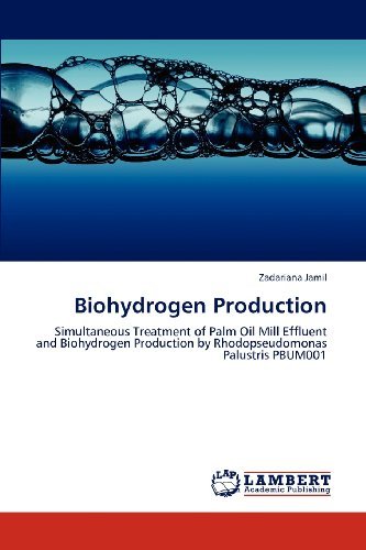 Cover for Zadariana Jamil · Biohydrogen Production: Simultaneous Treatment of Palm Oil Mill Effluent and Biohydrogen Production by Rhodopseudomonas Palustris Pbum001 (Taschenbuch) (2012)
