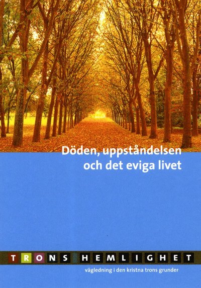 Cover for Maria Mannberg · Trons hemlighet: Döden, uppståndelsen och det eviga livet (Book) (2011)