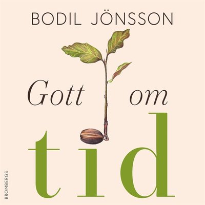 Cover for Bodil Jönsson · Gott om tid (Audiobook (MP3)) (2020)