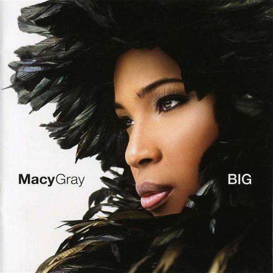 Cover for Macy Gray · Big (CD) (2007)