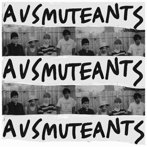 Cover for Ausmuteants · Amusements (LP) (2014)