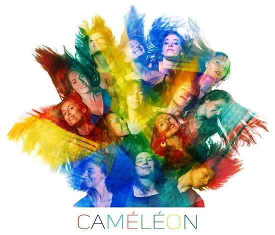 Cover for Thierry -Ensemble- Maillard · Cameleon (CD) (2022)
