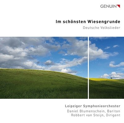Im Schonsten Wiesengrunde - Leipziger S.o. / Blumenschein - Música - GENUIN - 4260036257878 - 1 de julio de 2022
