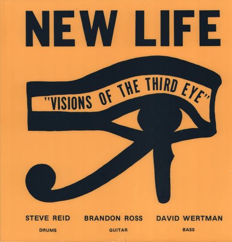 Cover for New Life Trio · Visions Of The Third Eye (LP) (2022)