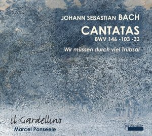 Cover for J.s. Bach · Cantatas 146 / 103 / 33 - Il Gardellino (CD) (2014)