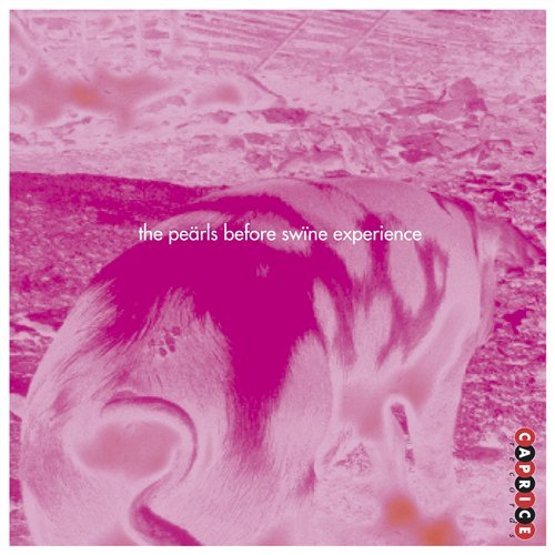 Cover for Pearls Before Swine Experience (CD) (1998)