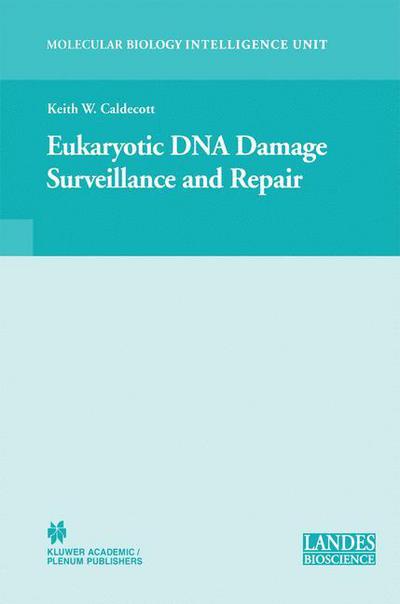 Cover for Keith W Caldecott · Eukaryotic DNA Damage Surveillance and Repair - Molecular Biology Intelligence Unit (Hardcover Book) [2004 edition] (2004)