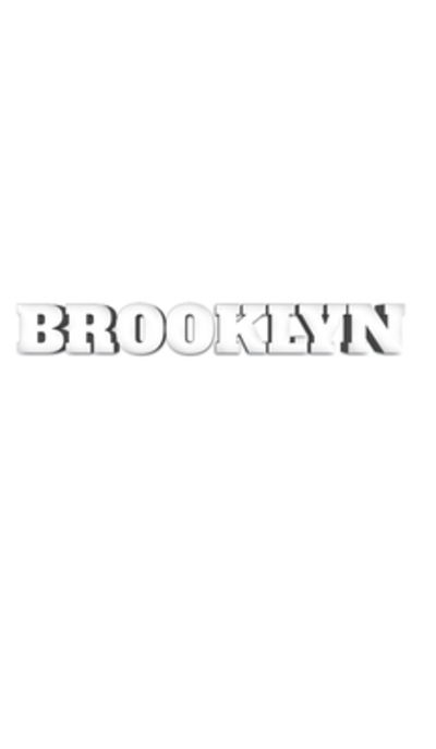 Cover for Sir Michael Huhn · Brooklyn New York Creative Journal (Hardcover Book) (2020)