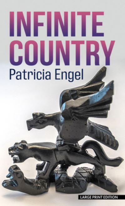 Cover for Patricia Engel · Infinite Country (Hardcover Book) (2021)