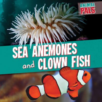 Cover for Janey Levy · Sea Anemones and Clown Fish (Paperback Book) (2021)