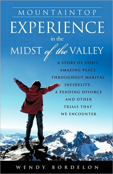 Cover for Wendy Bordelon · Mountaintop Experience in the Midst of the Valley (Paperback Book) (2010)