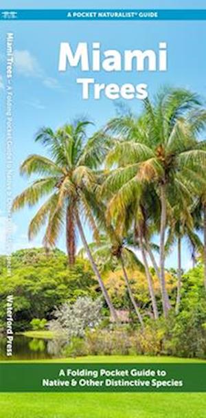 Cover for Waterford Press · Miami Trees: A Folding Pocket Guide to Familiar Trees - Nature Observation North America (Pamphlet) (2025)