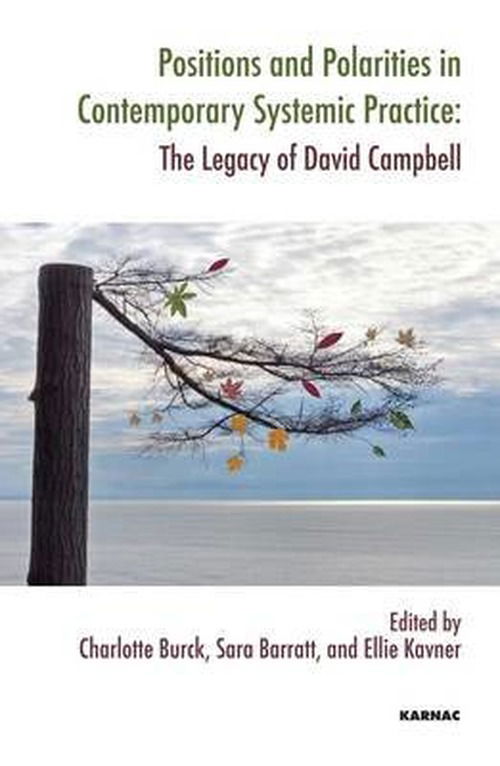 Cover for Sara Barratt · Positions and Polarities in Contemporary Systemic Practice: The Legacy of David Campbell - The Systemic Thinking and Practice Series (Paperback Book) (2013)