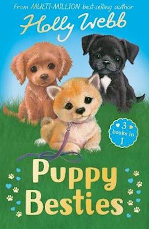 Cover for Holly Webb · Puppy Besties: The Puppy Who Ran Away, The Puppy Who Couldn't Sleep, The Forgotten Puppy - Holly Webb: Animal Stories (Book) (2025)