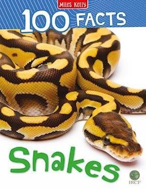 Cover for 100 Facts Snakes (Bok)