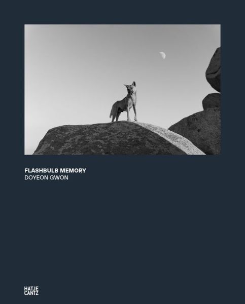 Doyeon Gwon: Flashbulb Memory - - Livros - Hatje Cantz - 9783775746878 - 9 de julho de 2020
