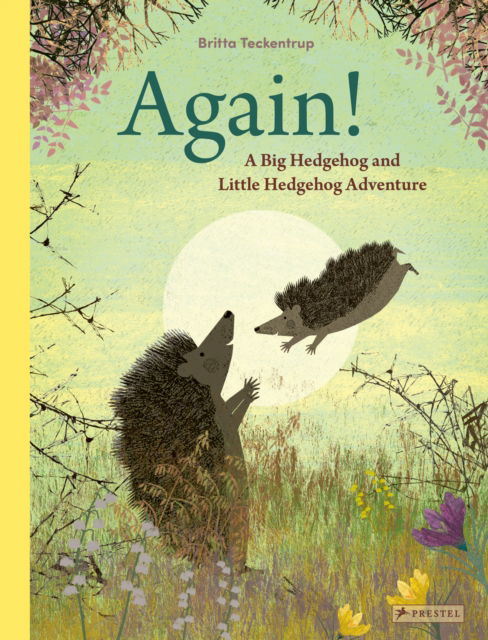 Cover for Britta Teckentrup · Again!: A Big Hedgehog and Little Hedgehog Adventure (Gebundenes Buch) (2025)