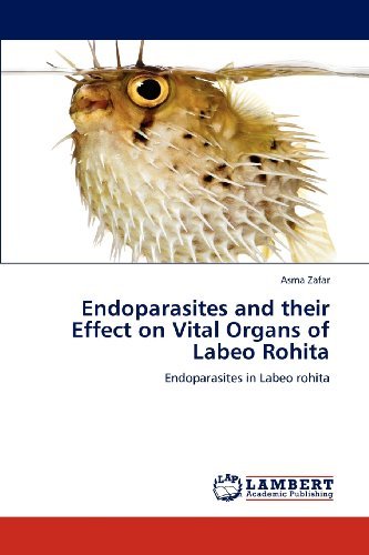 Cover for Asma Zafar · Endoparasites and Their Effect on Vital Organs of Labeo Rohita: Endoparasites in Labeo Rohita (Pocketbok) (2012)