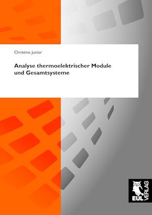 Cover for Christine Junior · Analyse thermoelektrischer Module und Gesamtsysteme (Paperback Book) (2010)