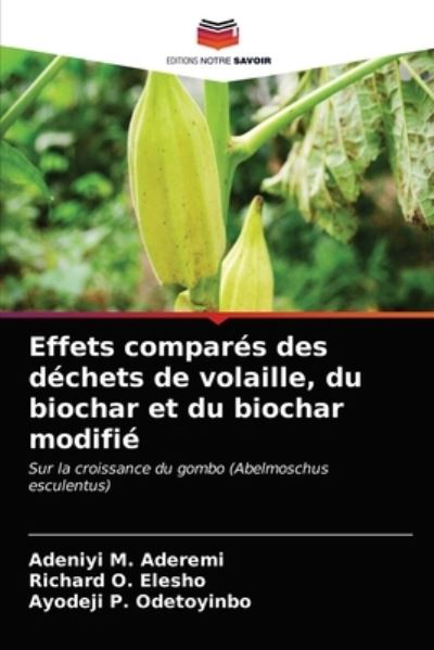 Cover for Adeniyi M Aderemi · Effets compares des dechets de volaille, du biochar et du biochar modifie (Paperback Book) (2021)