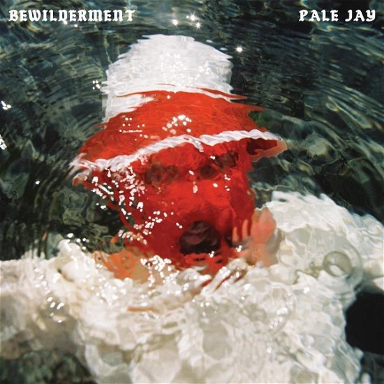 Cover for Pale Jay · Bewilderment (CD) (2023)