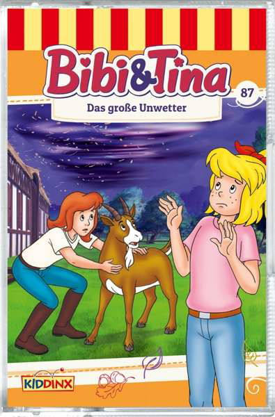 Cover for Bibi &amp; Tina · Bibi &amp; Tina.87 Das große Unwetter,Cass. (Book) (2017)