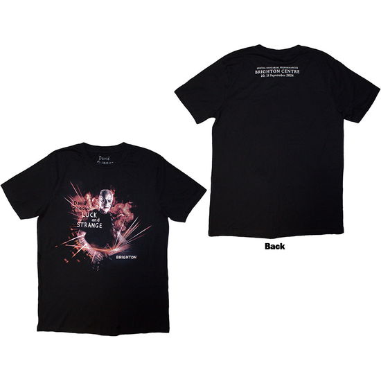 Cover for David Gilmour · David Gilmour Unisex T-Shirt: Luck &amp; Strange Brighton (Black) (Back Print &amp; Ex-Tour) (T-shirt) [size S] (2025)