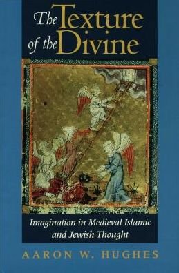Cover for Aaron W. Hughes · The Texture of the Divine: Imagination in Medieval Islamic and Jewish Thought (Hardcover Book) (2003)