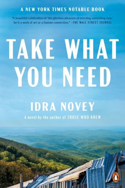 Cover for Idra Novey · Take What You Need (Book) (2024)