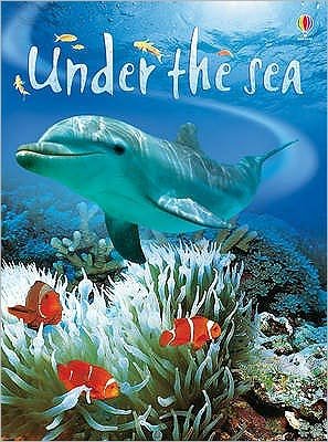 Under the Sea - Beginners - Fiona Patchett - Books - Usborne Publishing Ltd - 9780746074879 - June 30, 2006