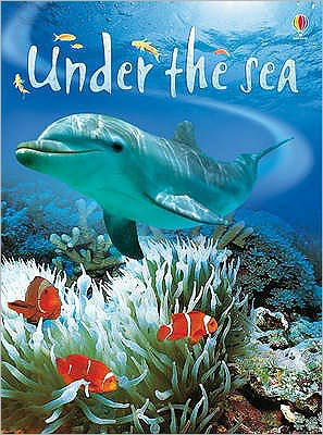 Cover for Fiona Patchett · Under the Sea - Beginners (Hardcover bog) [New edition] (2006)