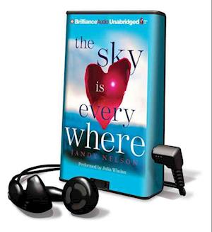 The Sky Is Everywhere - Jandy Nelson - Other - Findaway World - 9781441855879 - March 9, 2010