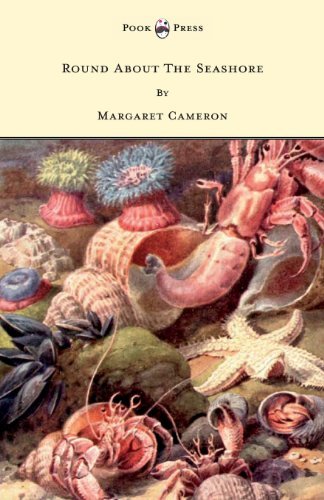 Cover for Margaret Cameron · Round About the Seashore - with Eight Coloured Pictures (Paperback Book) (2010)
