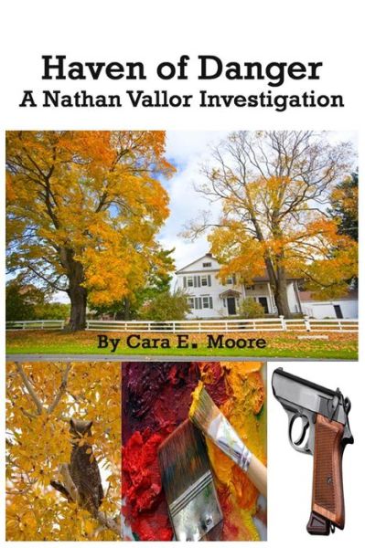 Cover for Cara E Moore · Haven of Danger: a Nathan Vallor Investigation (Paperback Book) (2013)