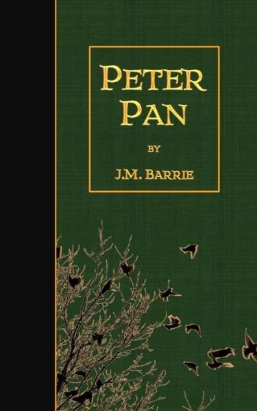 Peter Pan - James Matthew Barrie - Books - Createspace - 9781507610879 - January 19, 2015