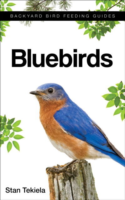 Cover for Stan Tekiela · Bluebirds - Backyard Bird Feeding Guides (Paperback Book) (2017)