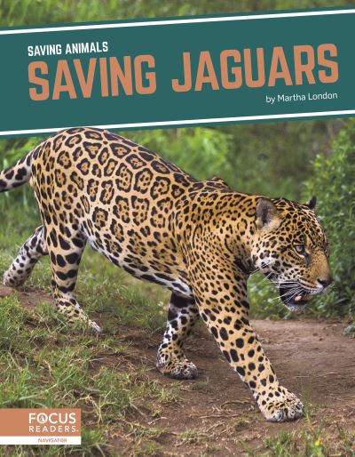 Cover for Martha London · Saving Jaguars - Saving Animals (Gebundenes Buch) (2021)