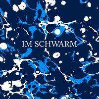 Cover for Fehr · Im Schwarm (Book)