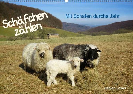 Schäfchen zählen - Mit Schafen du - Löwer - Bøger -  - 9783672015879 - 