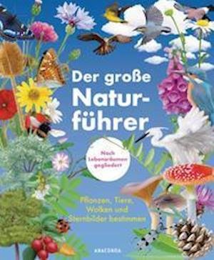 Cover for Morgane Peyrot · Der große Naturführer. Über 280 Pflanzen, Tiere, Wolken und Sternbilder entdecken und bestimmen. Nach Lebensräumen gegliedert. (Hardcover bog) (2022)