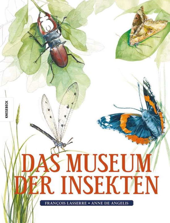 Cover for Lasserre · Das Museum der Insekten (Book)