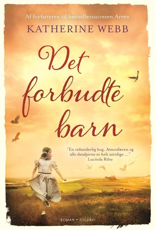 Cover for Katherine Webb · Det forbudte barn (Indbundet Bog) [1. udgave] (2017)