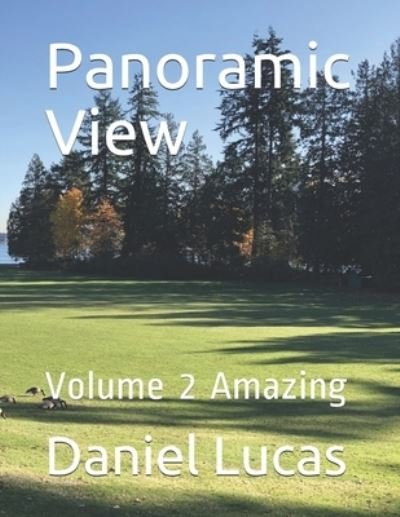 Cover for Daniel Lucas · Panoramic View: Volume 2 Amazing (Pocketbok) (2021)