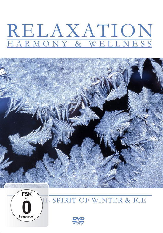 Cover for Feel the Spirit of Winter / Var · Feel the Spirit of Winter (DVD) (2006)