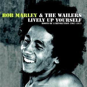 Lively Up Yourself: Roots of a Revolution 1967-71 - Marley,bob & Wailers - Musiikki - Wewantsounds - 3700604714880 - perjantai 30. kesäkuuta 2017